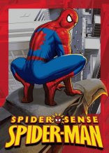 D�tsk� koberec Spiderman Gargoyle SP12
