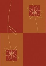 Kusov� koberec Hope 178/357-O