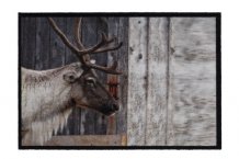 Rohožka 555 Mondial 070 wild deer