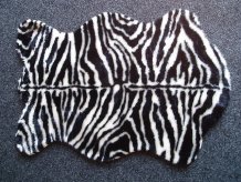 Trendy zebra D3-62