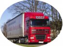 Daf XF 95 r2004 lv + rv