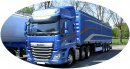 DAF XF 95 tunnel automaat 2002 - 2006