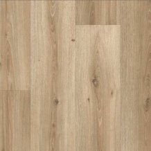 Iconik 280T Powell Oak Bronze