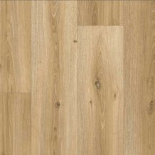 Iconik 280T Powell Oak Gold