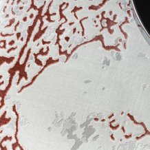 Kusový koberec Allure 1961 white/pink