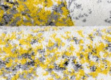 Kusový koberec Alora A1012 yellow