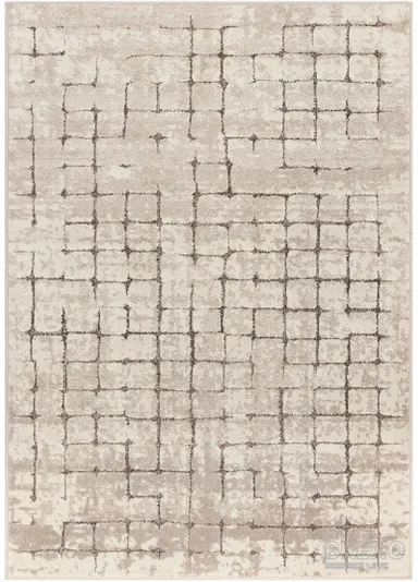 Kusový koberec Amarna 44003 E7CH