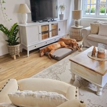 Kusový koberec Beach 103854 Cream/Beige – na ven i na doma