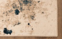 Kusový koberec Clario cream