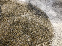 Kusový koberec Diamond 24061/975