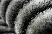 Kusový koberec Flim 010-B3 grey