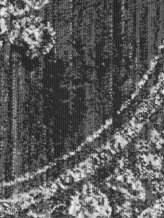 Kusový koberec Gloria Lydia 106253 Grey kruh