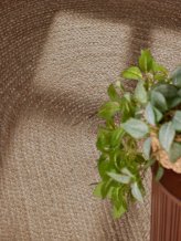 Kusový koberec Jute Braided 106006 Grey Brown ovál