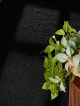 Kusový koberec Jute Braided 106322 Black ovál