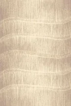 Kusový koberec Tytus beige