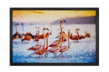 Rohožka 585  Image 025 flamingos